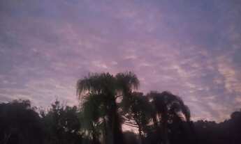 Imagem 2: Líquido Linda chácara em Quatro Barras Torro