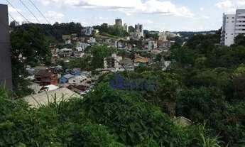 Imagem 5: Terreno à venda, 897 m² por R$ 2.500.000,00 - Panazzolo - Caxias do Sul/RS