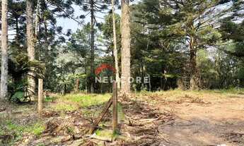 Imagem 2: Chácara em Estrada da Carapina - Vale do Carapina - São Francisco de Paula/RS