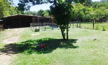 Imagem 2: Sítio no Parque Eldorado (1710m2), perto de Arroio dos Ratos