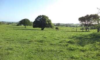 Imagem 5: Área de terras 11,67ha em Catanduvinha, Santo Antônio da Patrulha