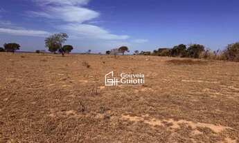 Imagem 3: Fazenda em Alexânia 126 ha Plana, Dupla Aptidão: Pecuária Leiteira e Corte + Agricultura