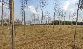 Imagem 4: Chácara para venda, com 55.875m² próximo ao Campus da UFG - Goiânia - GO