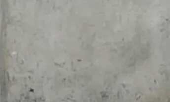 Imagem 2: Aluga-se galpao no Montese!