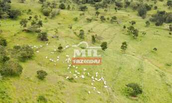Imagem: FAZENDA A VENDA 32 ALQUEIRES (154,88 HA)