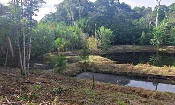 Imagem 6: Presidente Figueiredo