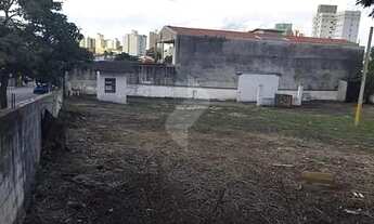 Imagem 2: Terreno para alugar, 1000 m² por R$ 7.040,00/mês - Jardim Paulistano - Sorocaba/SP