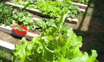 Imagem 7: Salomone vende sítio de 15.000m² em Gravataí