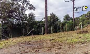Imagem 5: Terreno à venda, 5000 m² - Palmitalzinho - Quatro Barras/Paraná