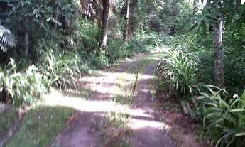 Imagem 3: Excelente sítio no melhor ponto de Pendotiba