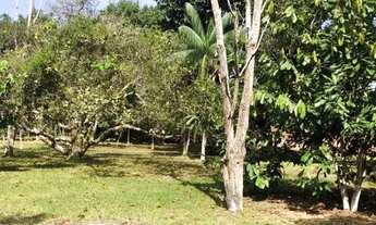 Imagem 7: Sítio 50 x 120 na Manuel Urbano 230.000,00