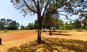 Imagem 5: Chácara 2 Hectares no Lago Oeste, oportunidade mesmo, na via principal rua 18