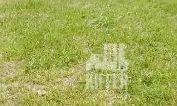 Imagem 6: Oportunidade Rara: Duas Casas Não Geminadas, Terreno Amplo e Vista para Natureza