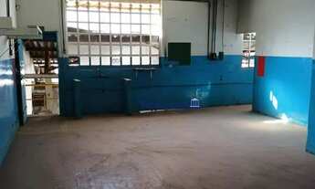 Imagem 3: Terreno à venda, 750 m² por R$ 5.250.000,00 - Vila Romana - São Paulo/SP