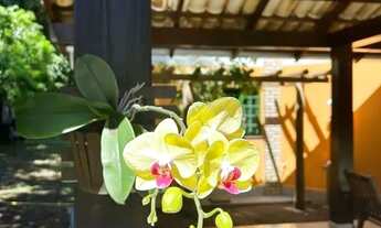 Imagem 4: Sobrado tipo Chalé + 01 casa em terreno amplo em Chapada dos Guimarães