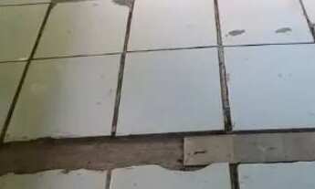 Imagem 3: Imóvel que você precisa