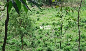 Imagem 2: Terreno à venda, 14340 m² por R$ 450.000,00 - Riograndina - Nova Friburgo/RJ