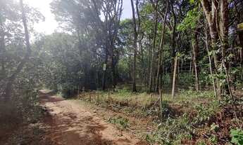 Imagem: Terreno em Mateus Leme