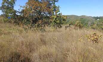 Imagem 5: VENDO!!! SÍTIO 20 HECTARES À VENDA NOSSA SENHORA DO LIVRAMENTO (MT