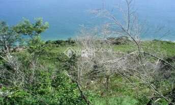 Imagem 5: Terreno à venda em Ponta das Canas, Florianópolis