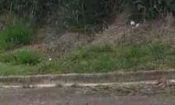 Imagem 4: Terreno à venda, 480 m² por R$ 215.000,00 - Parque Residencial Potiguara - Itu/SP