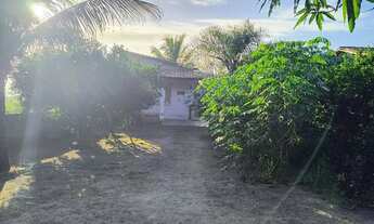 Imagem 2: Mini sítio Chácara com venda por R$150.000