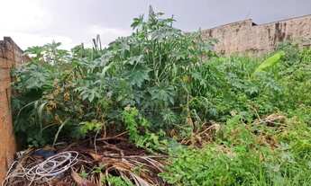 Imagem 7: Terreno de 377m² á venda - Parque Residencial Cidade Universitária