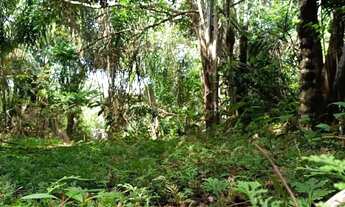 Imagem 3: 1.600m2(20x80) Documentado. EntradaR$10mil 07km no ramal do janauari-Iranduba. Leia