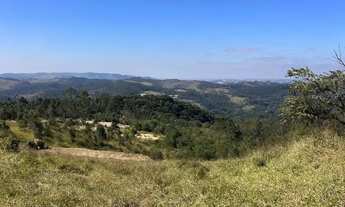 Imagem 3: Lotes para venda tem 1000 metros quadrados em Centro (São João Novo) - São Roque - SP
