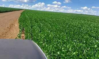 Imagem 3: Fazenda de 350 alqueires, (840 hectares), na regiao do Município de Ipameri Goia