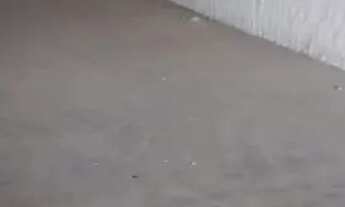 Imagem 3: Galpão Comercial de 1.000 m² para Locação na Rua Auriverde