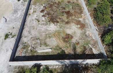 Imagem 6: Vendo lote murado no Janauary 1