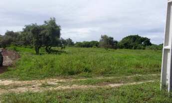 Imagem 5: Terreno à venda, 6000 m² por R$ 240.000,00 - Lagoa Do Bonfim - Nísia Floresta/RN