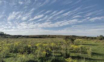 Imagem 5: Vendo 70 hectares de campo pecuária com área para pastagem ou lavoura