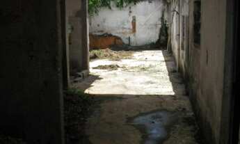 Imagem 5: GALPÃO - SANTO AMARO - SP