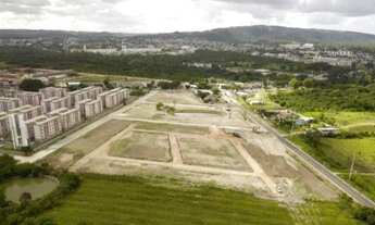 Imagem 7: Porto Alegre - Terreno Padrão - Hípica