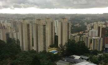 Imagem 3: Mansão das Palmeiras á venda com 110m² 3 quartos 1 suíte e 2 vagas no Morumbi São Paulo