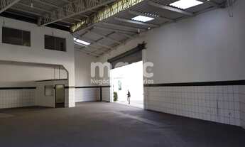 Imagem 5: SAO PAULO - Galpão/Depósito/Armazém - VILA RIBEIRO DE BARROS