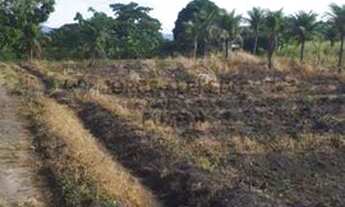 Imagem 2: Aceita Proposta Terreno / lote com venda por R$58.000.000