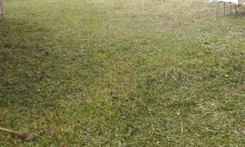 Imagem 2: Terreno com casa balneário pinhal