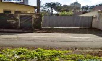 Imagem 2: GALPÃO - JAGUARÉ - SP