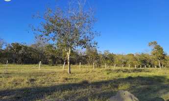 Imagem 3: FAZENDA À VENDDA EM ARAGUAINA - TO - 484 HECTARES (DUPLA APTIDÃO