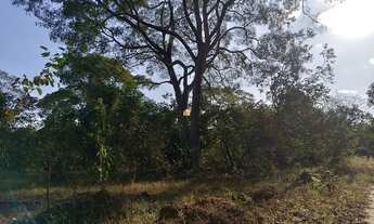 Imagem 6: Sitio em Esmeraldas