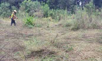 Imagem 7: ÓTIMO TERRENO (2000M2) PROX SANTA FELICIDADE