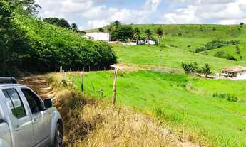 Imagem 4: FAZENDA EM MATRIZ DE CAMARAGIBE