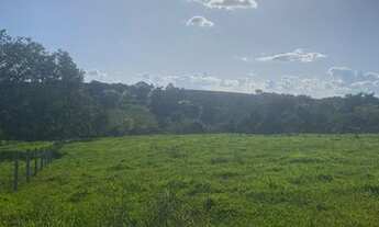 Imagem 4: Chácara no Distrito de Roselandia a 31 km do flamboyant- sentido Bela Vista GO