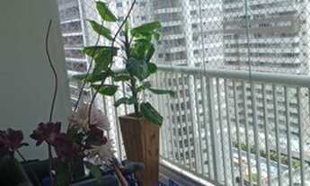 Imagem: Apartamento 3 quartos com uma suíte no