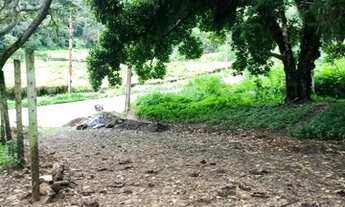 Imagem: Excelentes Lotes na Serra De Pacoti-Ce