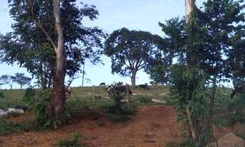 Imagem 5: COD:1542 Excelente sítio em Silvianópolis