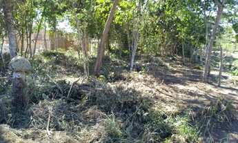 Imagem 2: Terreno / Lote de 1000m2 à venda